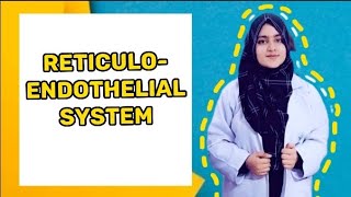 Reticuloendothelial system Notes in description Immunity [upl. by Elokin]