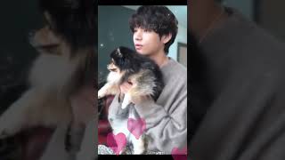 BTS V with Yeontan \ Cute Kim Taehyung with his Cute dogs Yeontan [upl. by Denis698]