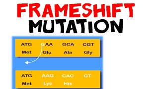 Frameshift mutation [upl. by Marsden945]