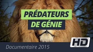 Prédateurs de Génie Documentaire 2015 [upl. by Vasquez]