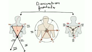 ECG de A à Z  l appareillage de lECG  electrodes et dérivations [upl. by Akinorev]