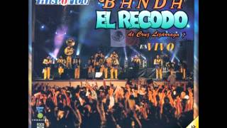 Mi Fracaso  Banda El Recodo [upl. by Annahsit]