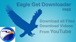 how to easily download EagleGet in 2 minutes [upl. by Eirotal481]