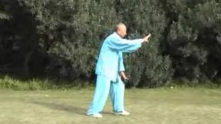 吳式太極拳 Taijiquan style Wu Master Fei Guo Qing Shanghai [upl. by Anegue]