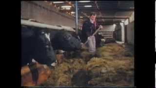 Farming in County Monaghan 1985 [upl. by Akienom]