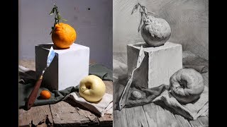 Still life Drawing in pencil [upl. by Purington]