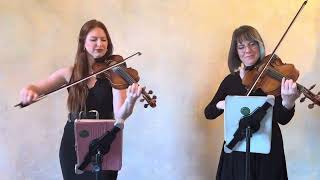 Wildest Dreams by Taylor Swift Violin and Viola Duo [upl. by Garratt331]