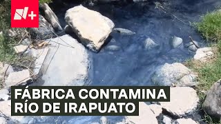 Fábrica desecha sus residuos y contamina el agua en un río en Irapuato  N [upl. by Erek]