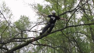 Branchwalking  Basic tree climbing techniques [upl. by Docile]