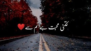 Kitni Muhabbat Hai Tumse  Sad Shero Shayari Status In Urdu  Dukhiya Poetry Hindi [upl. by Ynohtnaeoj]