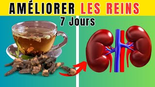 5 Boissons NATURELLES pour AMELIORER la santé de vos REINS [upl. by Weinreb]