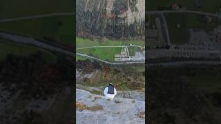 double gainer adrenaline basejump nature flying mountains mountain adventure switzerland [upl. by Tally]