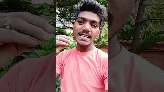 Piritiya Lagal to aise hi Batiya Sanchore bhojpuri song [upl. by Raymond894]