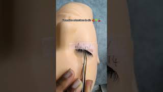 Formation extensions de cils 🍒☘️🍓formationextensiondecils extensiondecils youtubeshorts cils [upl. by Jahncke56]