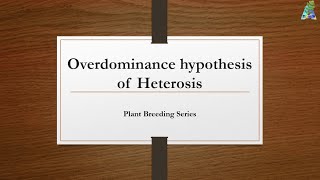 Overdominance Hypothesis of Heterosis [upl. by Nolla]