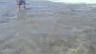 Fly Fishing for Bonefish in Los Roques Venezuela [upl. by Ganiats]