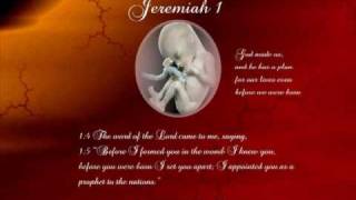 Jeremiah 1 with text  press on more info [upl. by Wolsky512]