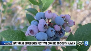 National Blueberry Festival coming to South Haven [upl. by Dett]