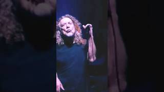 Ramble On Robert Plant ledzeppelin robertplant classicrock livemusic legend rambleon [upl. by Lhamaj]