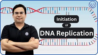 INITIATION OF DNA REPLICATION  ENZYMES IN DNA REPLICATION INITIATION  MOLECULAR BIOLOGY CSIR NET [upl. by Jain717]