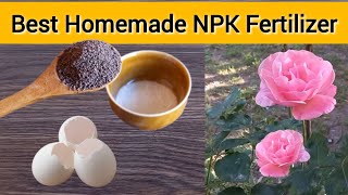 Best Homemade NPK Fertilizer For Plants Using Tea Leaves And Eggshells fertilizer [upl. by Euqram]