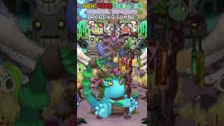 New Rare Carillong On Magical Sanctum 🪄 shorts mysingingmonsters [upl. by Tallou]