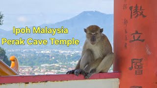 Ipoh Malaysia Perak Cave Temple Climb [upl. by Oirramaj619]