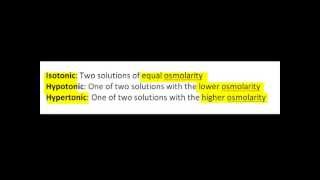 Osmolarity amp Tonicity [upl. by Ellimac57]