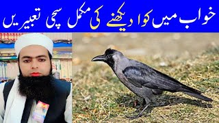 khwab mein kawa dekhna  crow dream meaning  khwab mein kawway ko dekhna [upl. by Oates41]