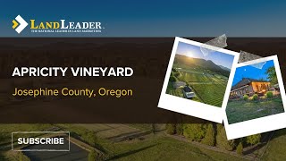 Apricity Vineyard  Josephine Oregon  New Listing [upl. by Enellek160]