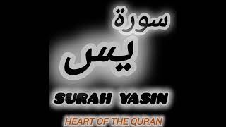 Most Beautiful Recitation of Surah Yaseen  Yaseen  Relaxing voice Quran Tilawat full Yaseen surah [upl. by Petersen758]