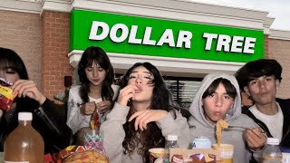 ONLY EATING DOLLAR TREE FOOD FOR 24 HOURS🤢 VLOGMAS DAY 9⛄️ [upl. by Notsur729]