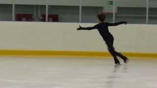 Dmitri Aliev Free Program 20132014 [upl. by Magas]