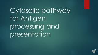 Cytosolic pathway of antigen processing and presentation All the steps with Questions and Answers [upl. by Amal]