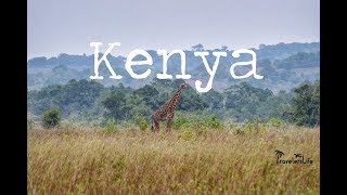 Lost in Kenya  a travel movie  Shimba Hills  Diving  2018 [upl. by Snashall]