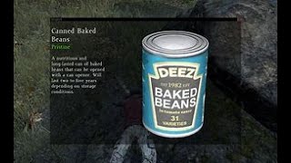 Bean There Done That DayZ Adventures in BeanCanBased Violence [upl. by Tehcac]