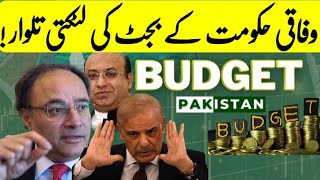 Budget 2024 Pakistan announced Can the New budget 202425 bring Stability [upl. by Etnaik]