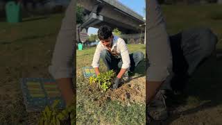 Planting 1 Lakh Trees 🌳 shortsfeed socialwork viral trending [upl. by Dysart]