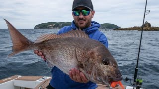 A Day At The Mokohinau Islands  Onboard with Tony Orton [upl. by Kemme]