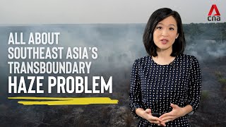 Southeast Asias transboundary haze problem  CNA Explains [upl. by Martainn]