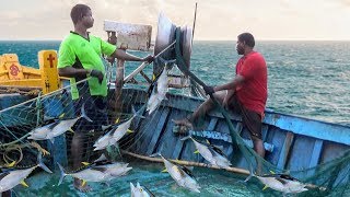 TRAWL NET FISHING VIDEOS [upl. by Ellerrehs]