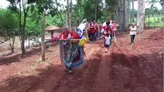 Folia de Reis Irmãos Adolfo no Sitio em Cajuru [upl. by Remle]