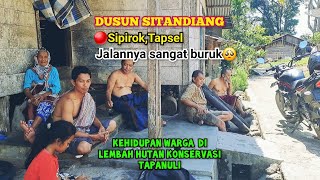 DUSUN SITANDIANG‼️SEMUA WARGA DESA INI BERPROFESI SEBAGAI PEMBUAT GULA AREN [upl. by Sylvan]