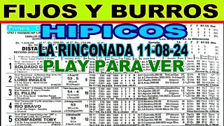 👉 PRONOSTICOS FIJOS Y BURROS HIPICOS 110824  LA RINCONADA [upl. by Willey410]