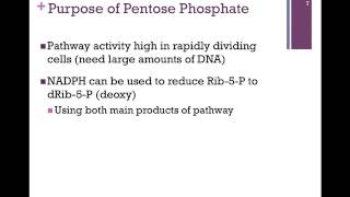 098Pentose Phosphate Pathway [upl. by Remliw]