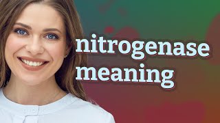 Nitrogenase  meaning of Nitrogenase [upl. by Nosyrb]