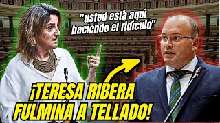 💥El FALTON de Tellado Filgueira INSULTA a Teresa Ribera y lo TIRA del CONGRESO a PATADAS [upl. by Collyer]