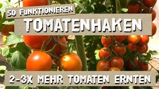 So funktionieren Tomatenhaken  Tutorial [upl. by Cris]