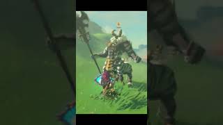 White Maned Lynel in Zelda Breath of The Wild Shorts [upl. by Adnilreb141]