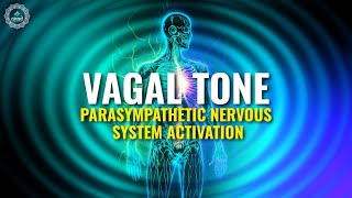 Vagal Tone  Parasympathetic Nervous System Activation  Vagus Nerve Stimulation  741hz Pure Tone [upl. by Ylrad]